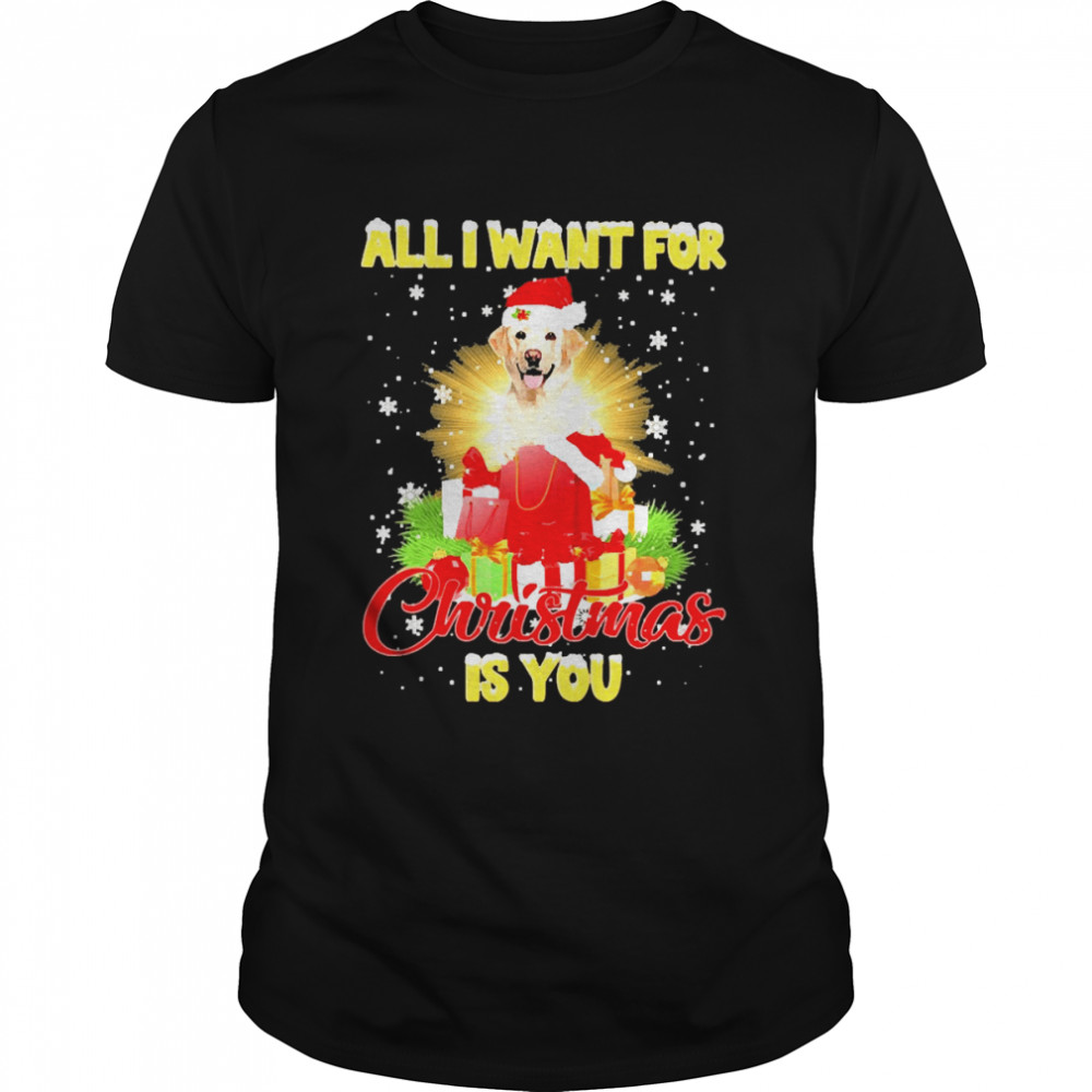 Yellow Labrador All I Want For Christmas Is You Sweat T-shirt